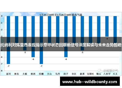 托纳利对阵里昂表现揭示意甲状态回暖新信号深度解读与未来走势前瞻